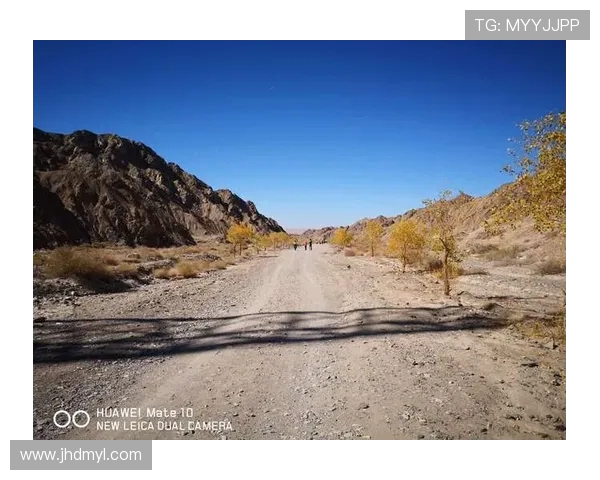 与吴娜畅谈街舞之路与人生追求的精彩旅程