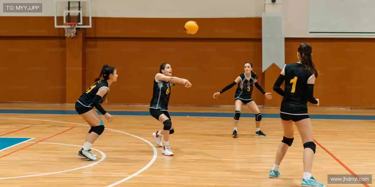 装备你的热爱,从专业到个性,应有尽有!🛒💪